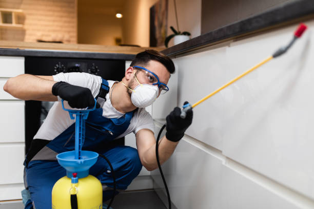 Best Best Pest Control Companies  in Eggertsville, NY