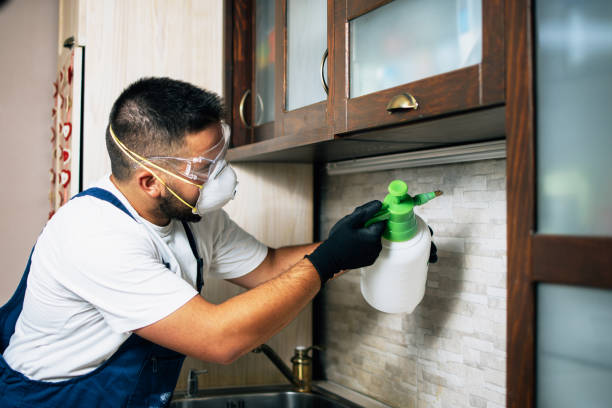 Pest Control Cost in Eggertsville, NY