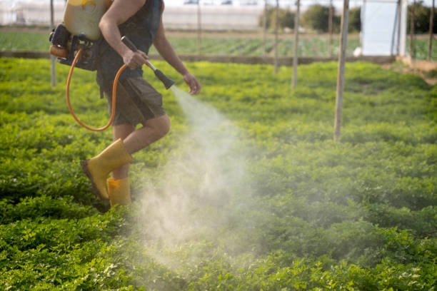 Best Pest Removal Services  in Eggertsville, NY