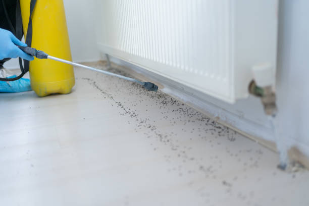 Trusted Eggertsville, NY Pest Control Experts