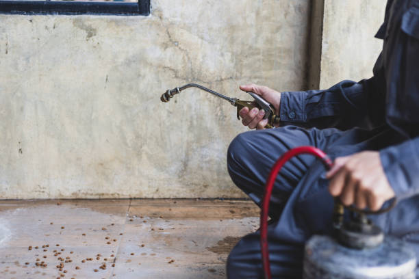 Best Affordable Pest Control Services  in Eggertsville, NY