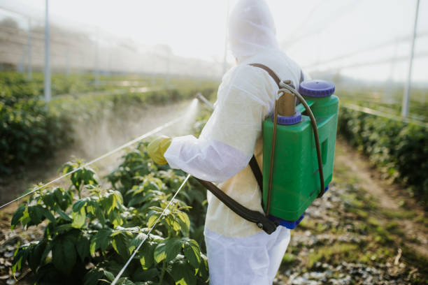 Best Mosquito Control Services  in Eggertsville, NY